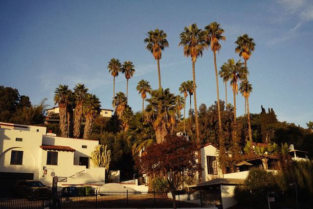 Stucco homes with tile roofs and palms along the street — Pinecrest · Chimney Guide